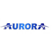 AURORA LED LIGHT Banner